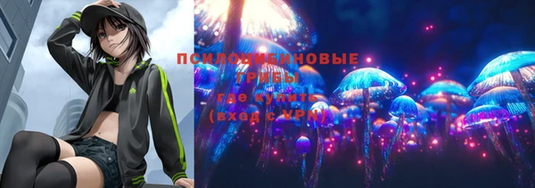 бошки Алексеевка