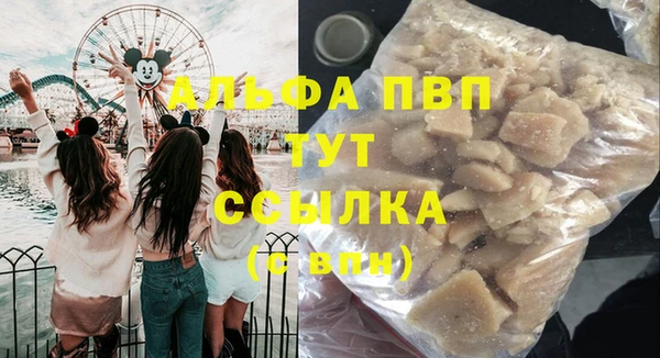 хмурый Алзамай