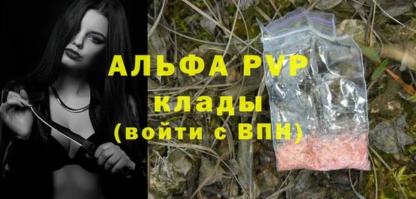винт Алексин