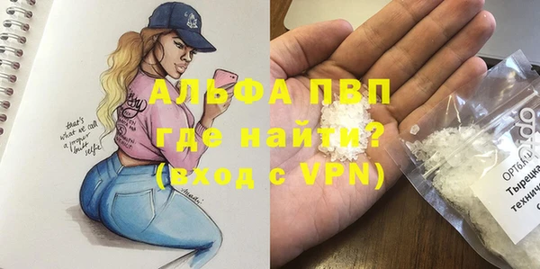 хмурый Алзамай