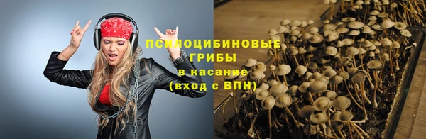 хмурый Алзамай