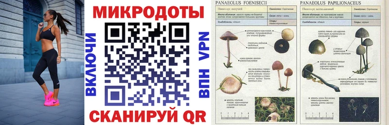 сайты даркнета телеграм  Первоуральск  Галлюциногенные грибы мухоморы 