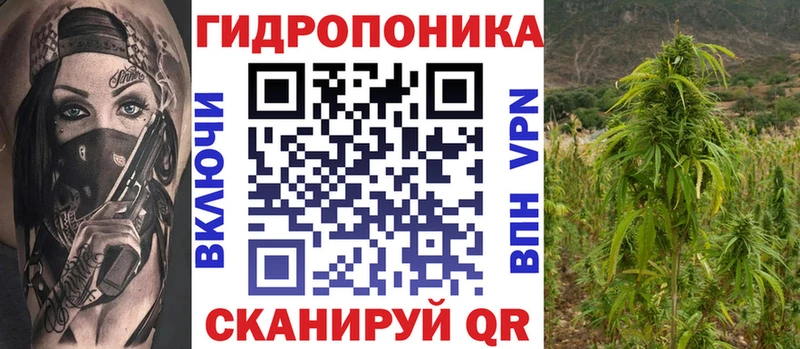 Конопля сатива  Первоуральск 